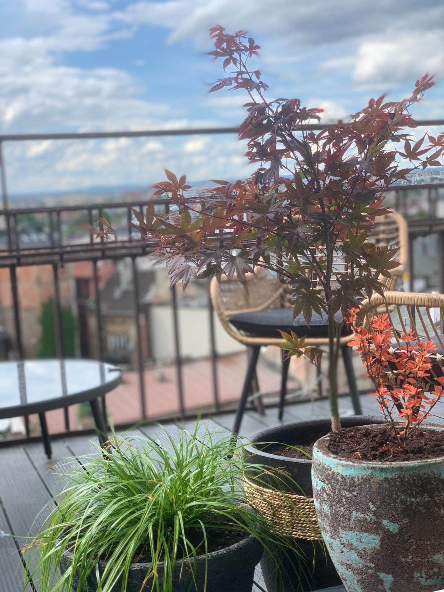 Loft21 Apartman Krakkó Kültér fotó